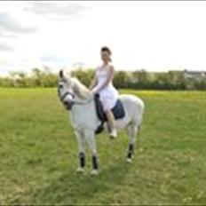 Anden særlig race Jumping Diamond Quindy <3