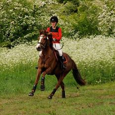 DSP Aurora Stengaard