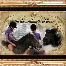 Anden særlig race Rollo fra thy..  .solgt