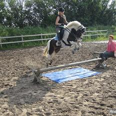 Anden særlig race Hannibal <3 (tidl. låne pony<3