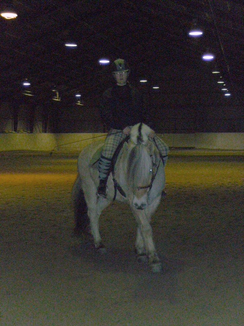 Fjordhest Kvint Frølunde <3 - Vores sidste part dag sammen! januar '10 <3 billede 19