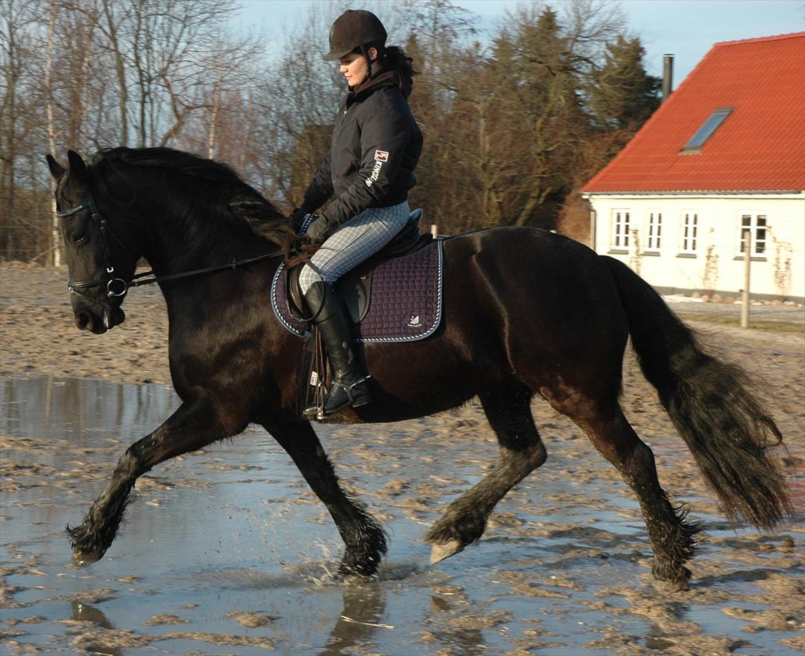 Frieser Linda A billede 10