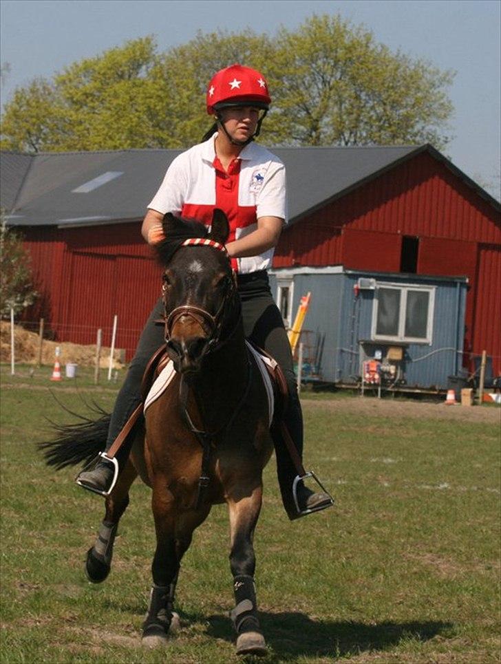 Anden særlig race Buster Larsen billede 1