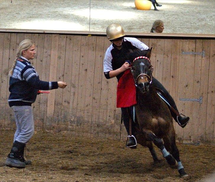 Anden særlig race Buster Larsen billede 7