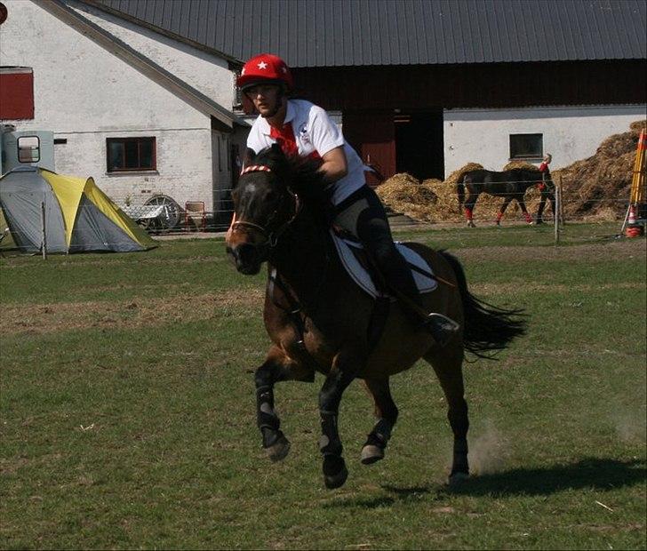 Anden særlig race Buster Larsen billede 8
