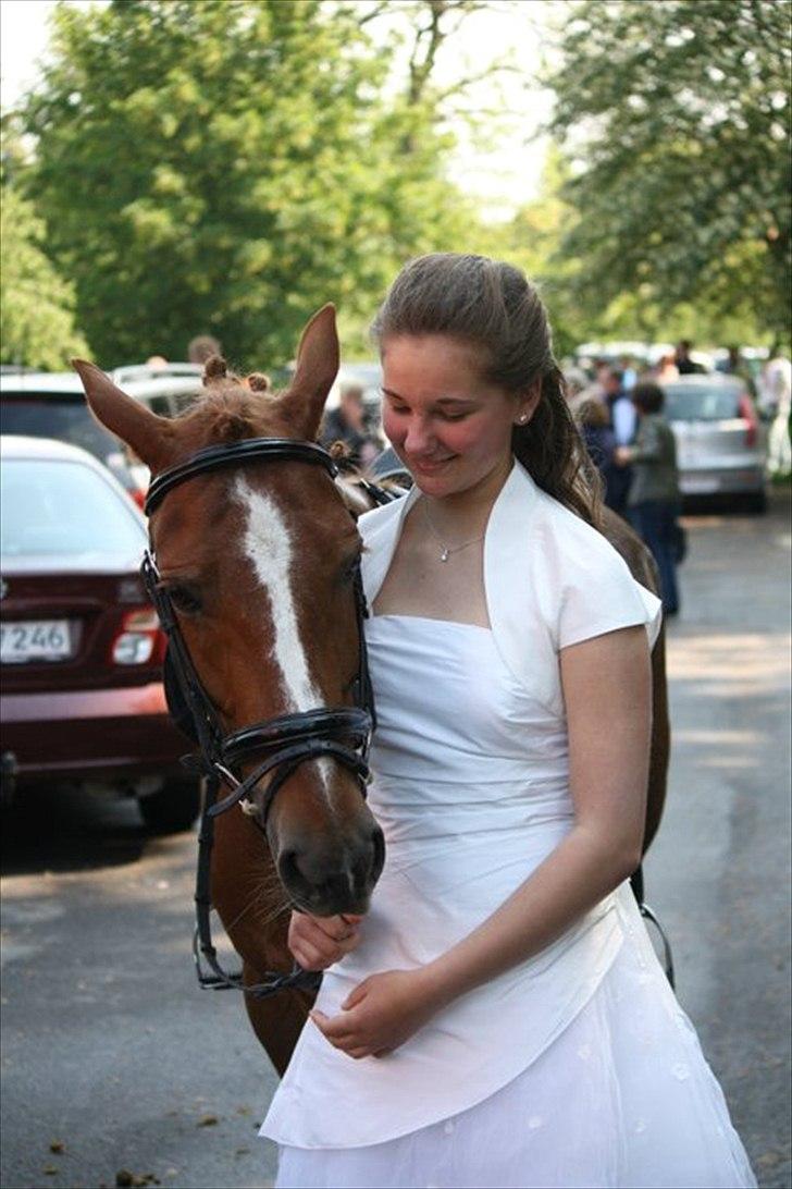 Anden særlig race Red Spirit :)  - Spirit kom op til kirken :'). 22 maj 2011 billede 3