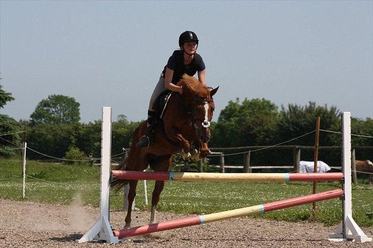 Anden særlig race Red Spirit :)  - Min bedste ven og jeg :*!
Foto: Maria Omø billede 2