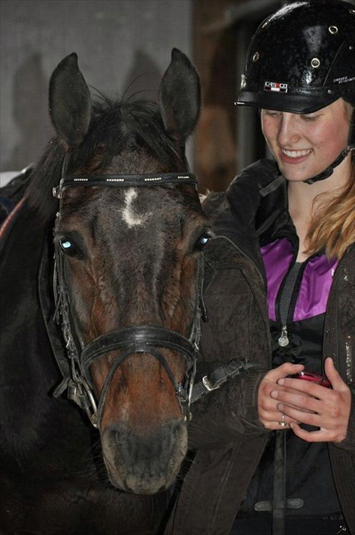 Anden særlig race Lux Liberty - Part - Efter vi har været ude og ride i regnvejr:* billede 8