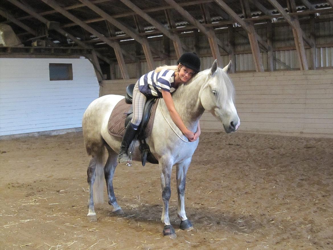 Anden særlig race Miss Perfect *solgt* - Elsker dig, du betyder alt for mig<3 billede 13