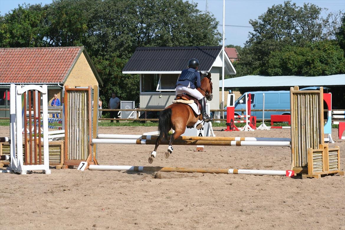 Hollandsk Sportspony Don Pedro  - Ridelejr-stævne NVR 2011 billede 14