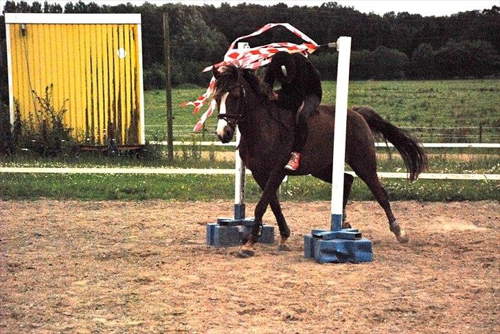 DSP Aurora Stengaard billede 9