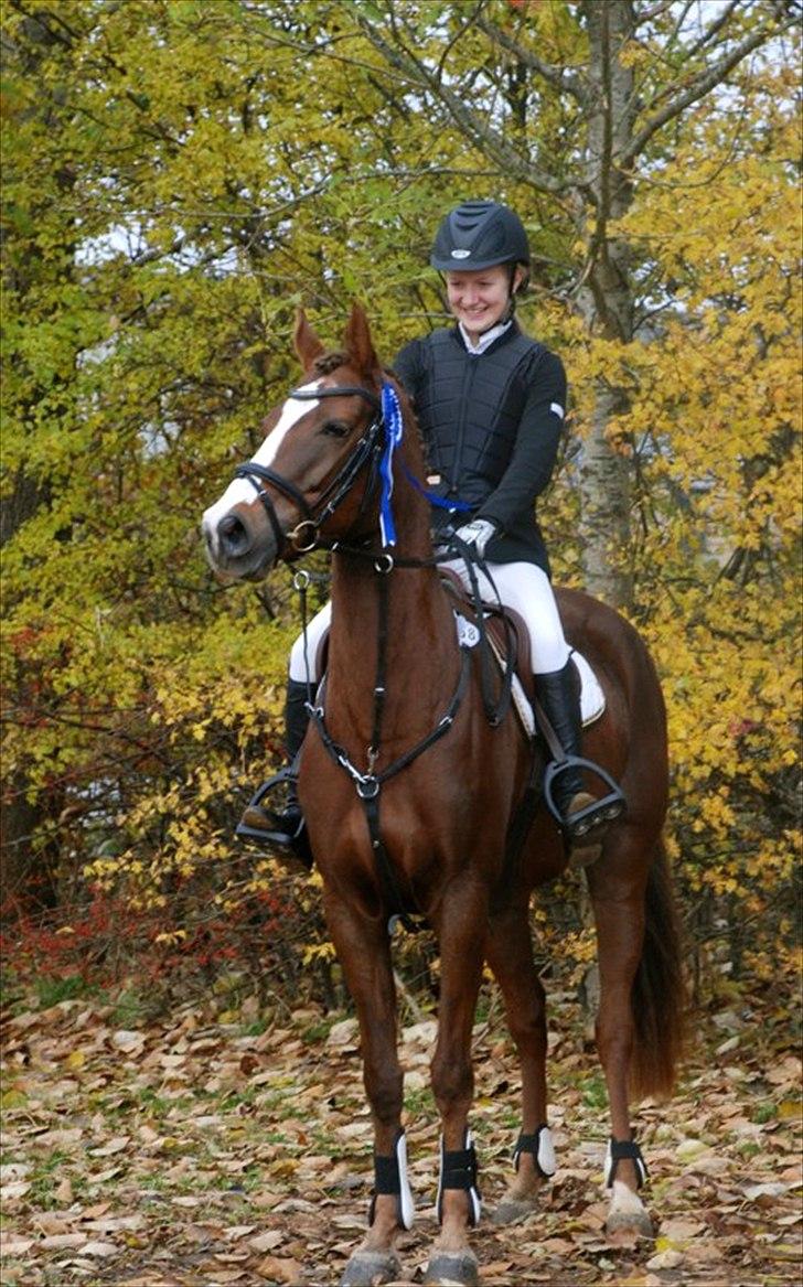 DSP Aurora Stengaard billede 11