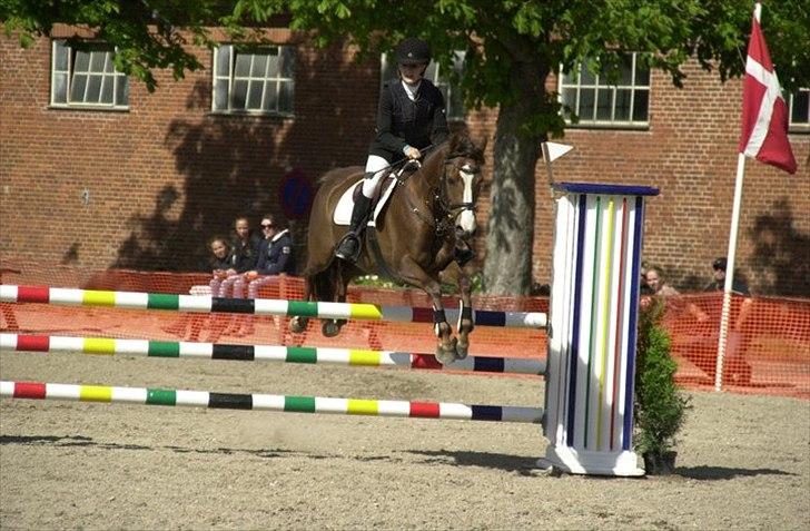 DSP Aurora Stengaard billede 16