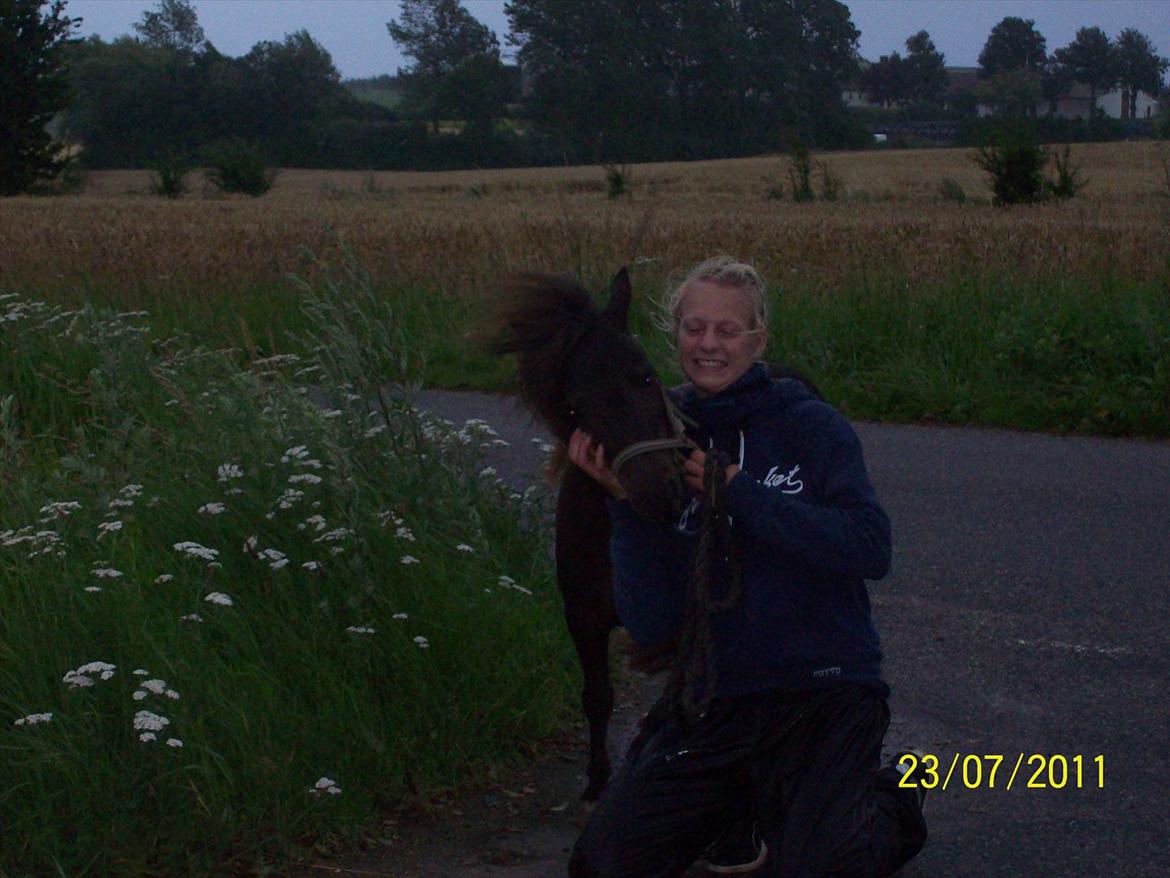 Shetlænder / Miniature Tulle - 7| De smil du giver mig på læberne, kunne ikke være mere sande! Foto: Mor 23/7 -11. billede 7