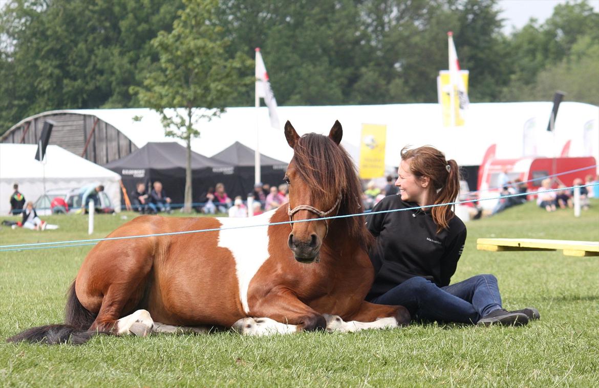 Pinto | Mira - Fantastisk dyreskue sammen med dig <3 billede 5