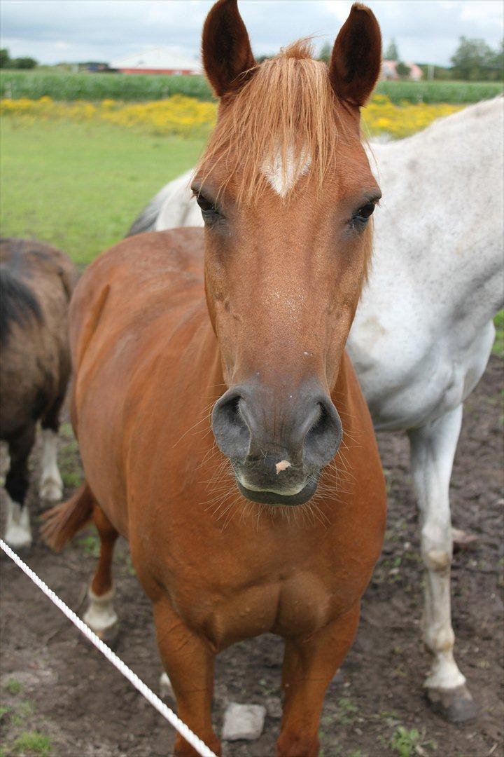 Anden særlig race fighter <3 billede 17