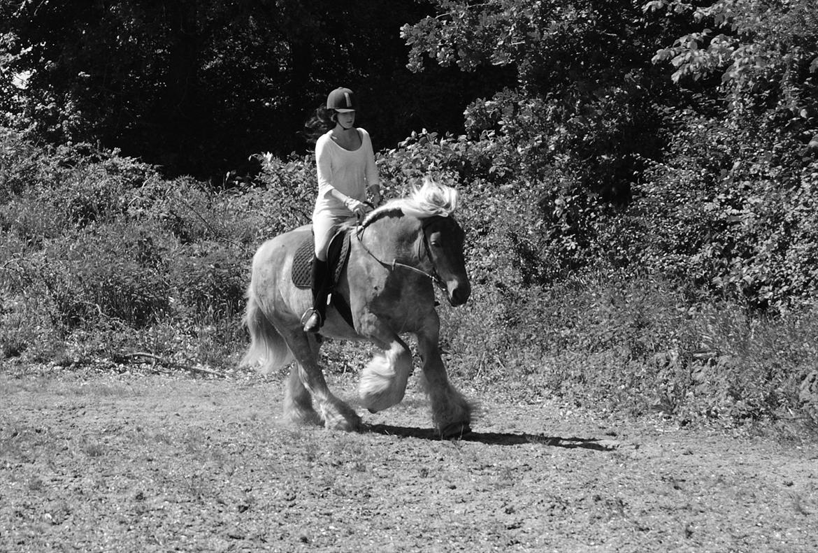 Jyde Østervig Storm P  - Foto: Tine | Nothing i have ever known, has made me feel this way.  billede 10