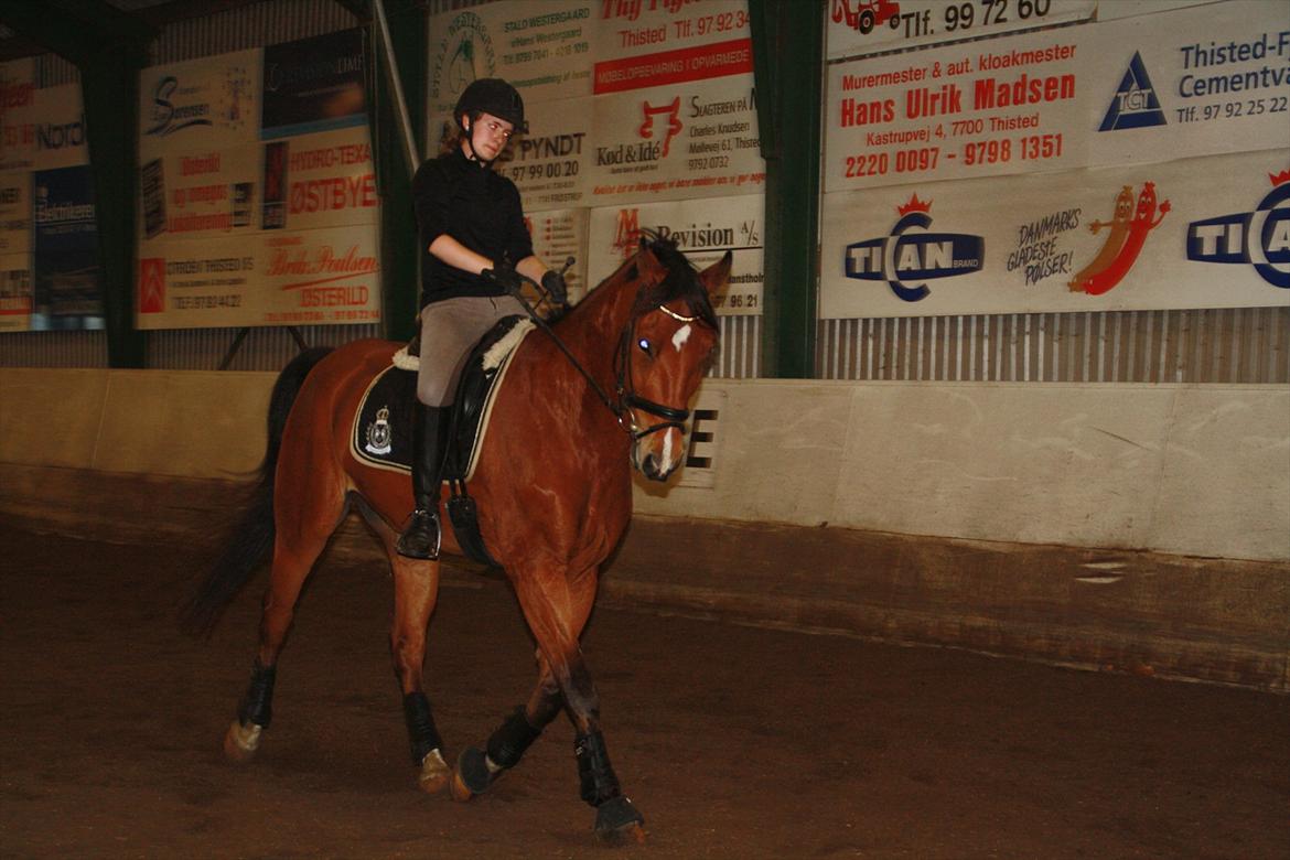 Anden særlig race Rabin billede 9