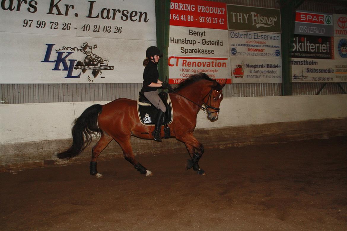 Anden særlig race Rabin billede 10