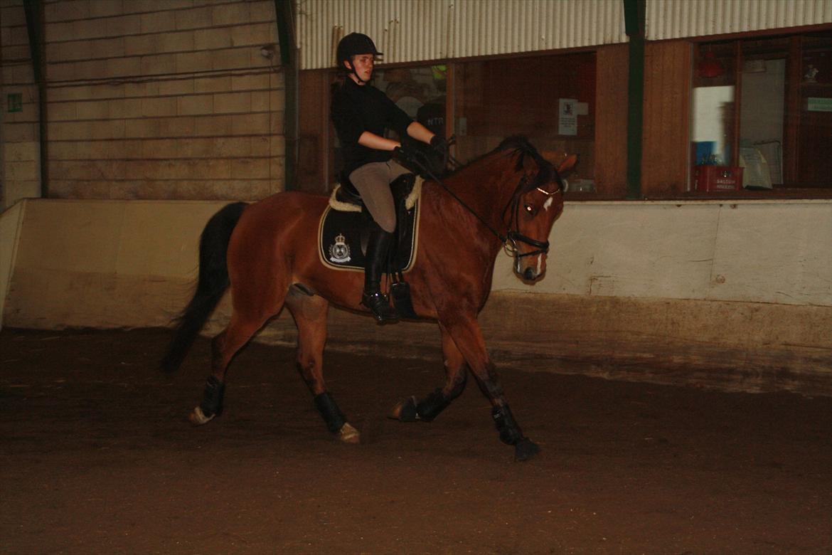 Anden særlig race Rabin billede 12