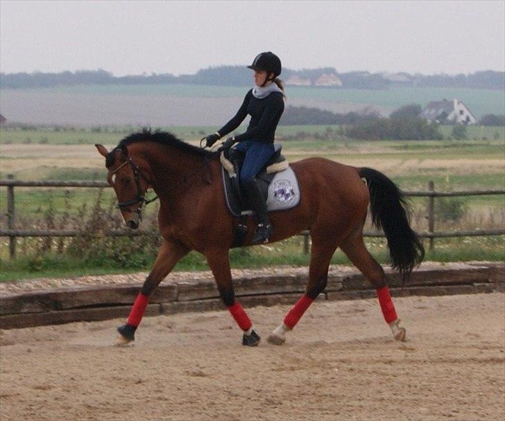 Anden særlig race Rabin billede 13