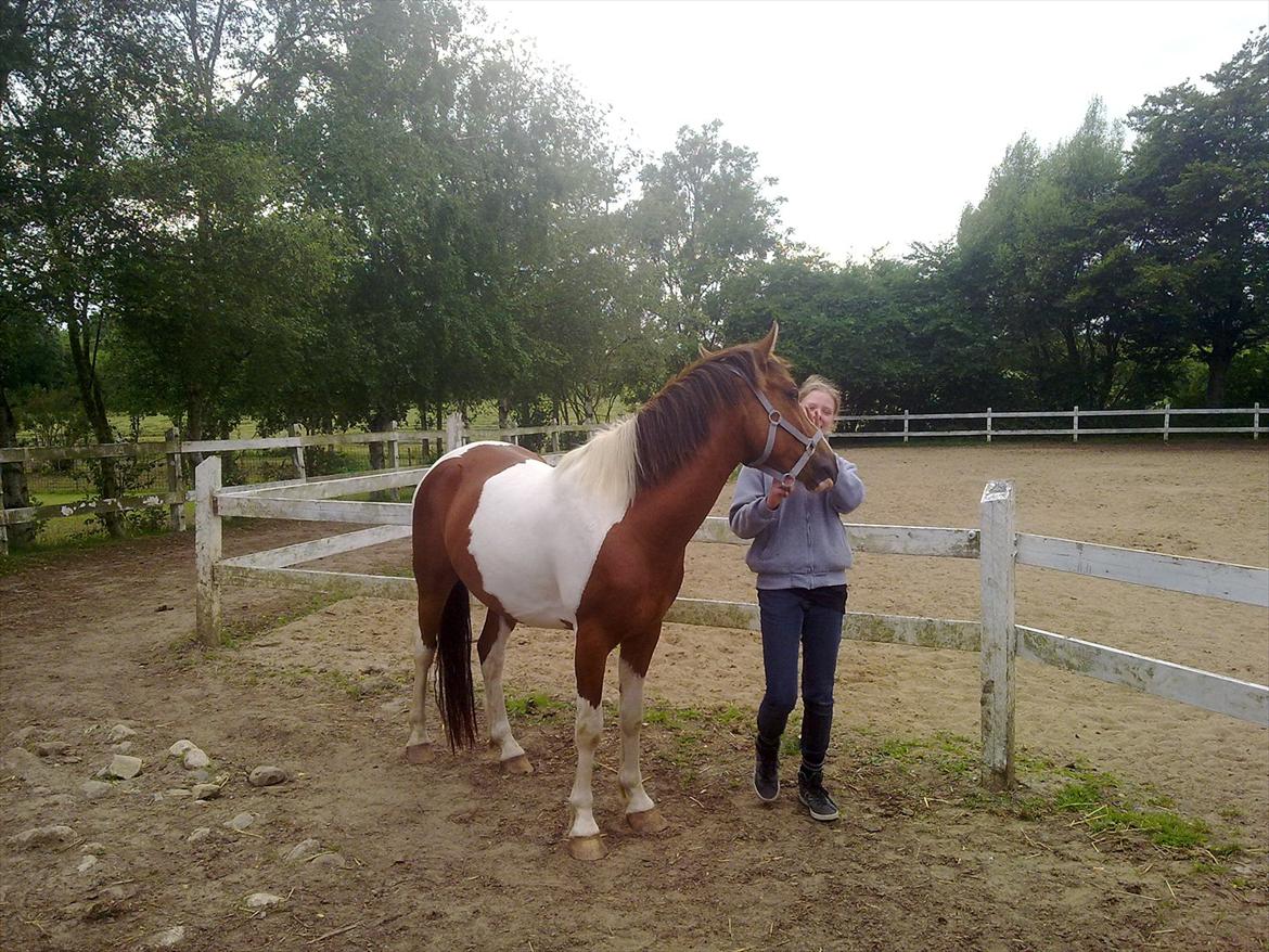 Anden særlig race DIXI [B-PONY] - dixi og mig, første gang jeg så ham
 billede 25