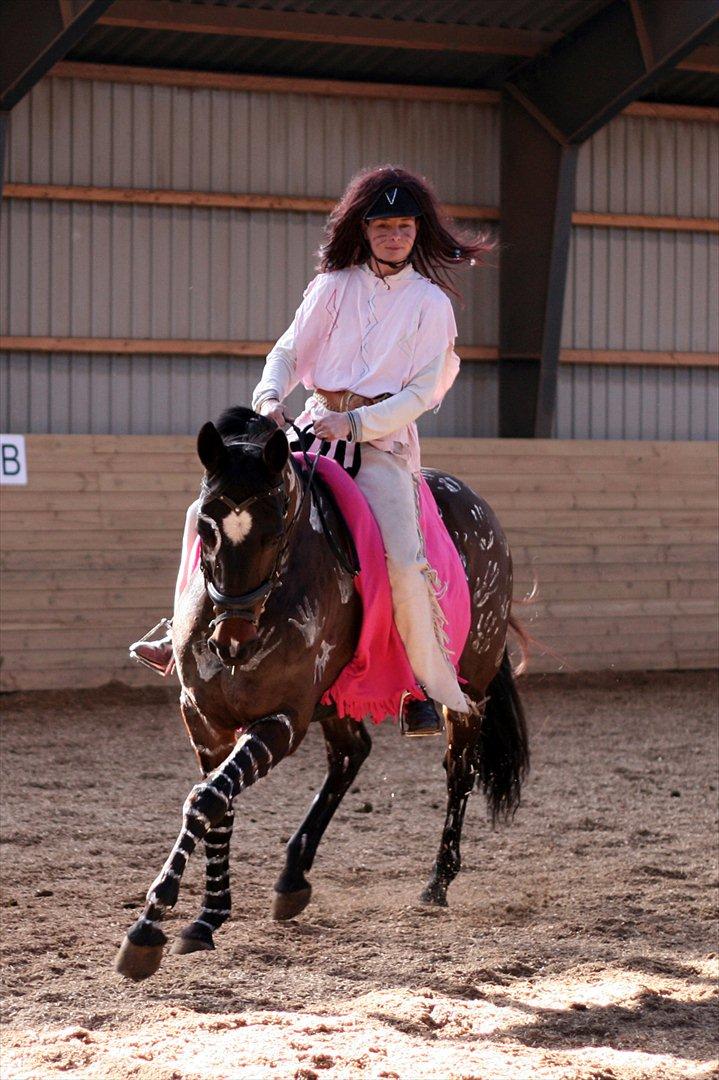 Dansk Varmblod Bonita - Believe me - Rita til kostume stævne på Heslegård, her i LA4 billede 2