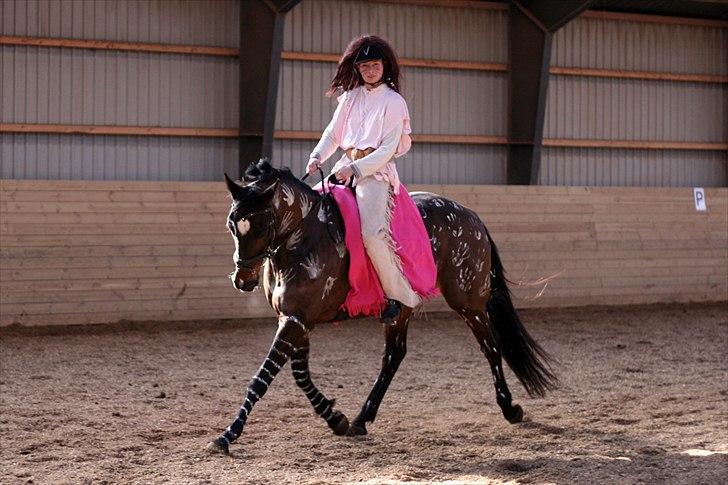 Dansk Varmblod Bonita - Believe me - Rita til kostume stævne på Heslegård, her i LA4 billede 3
