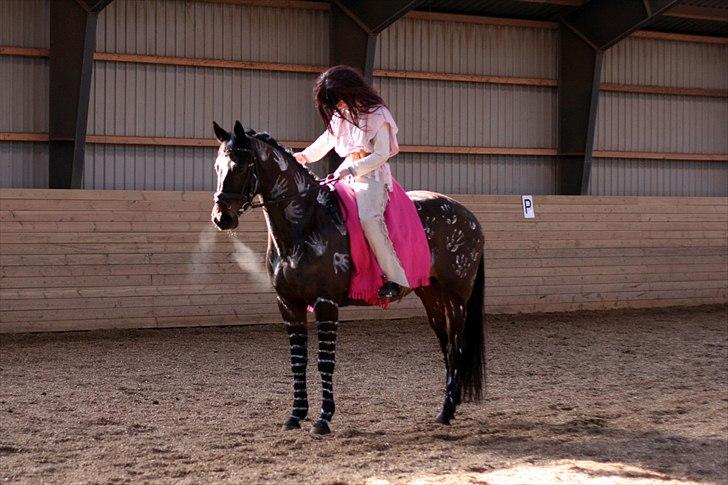 Dansk Varmblod Bonita - Believe me - Rita til kostume stævne på Heslegård, her i LA4 billede 4