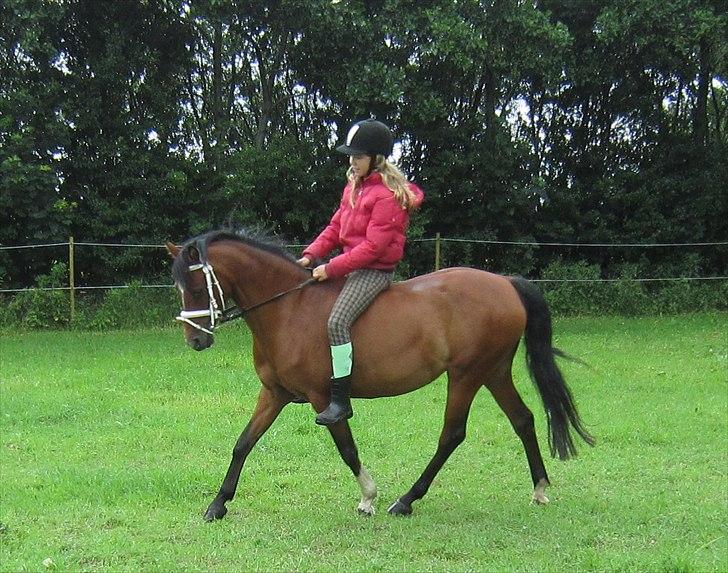 Anden særlig race Spotlight  - selvom man har stået stille i laaaang tid, kan man jo godt;-D super dejligt at se Spotlight den dag!! billede 19