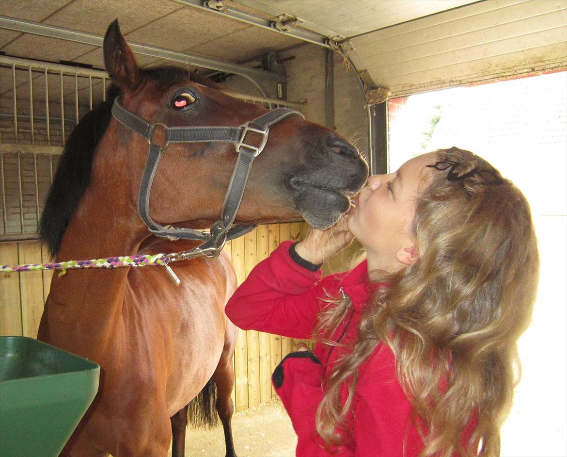 Anden særlig race Spotlight  - Et på gensyn mysser, da du nu skal længere væk:-D billede 20