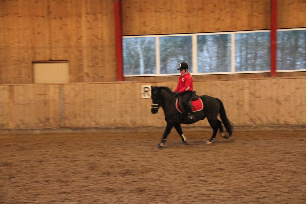 Anden særlig race Blacky<33 - Januar 2011 billede 11