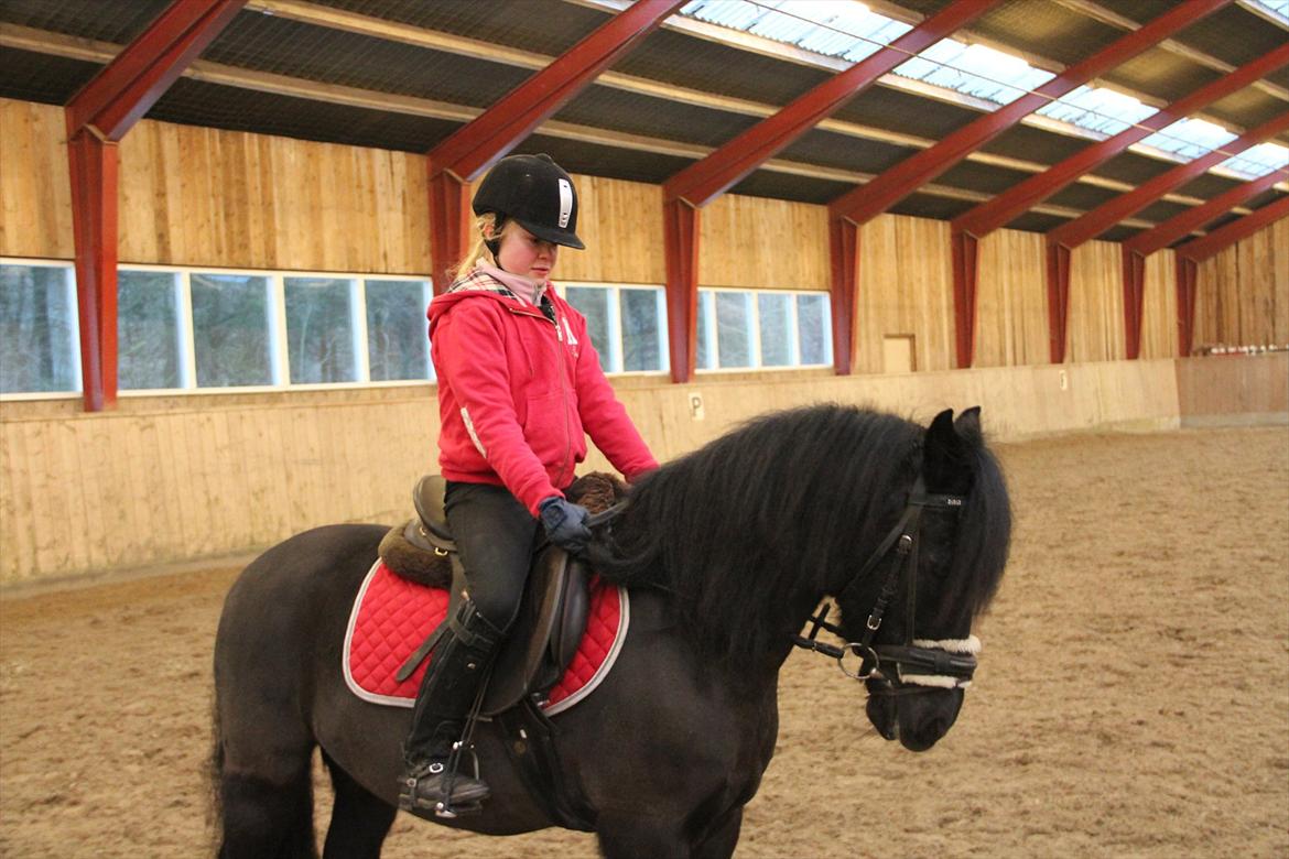 Anden særlig race Blacky<33 - Dejlige pony<33 billede 12