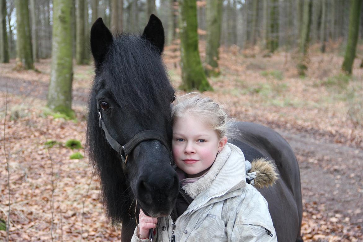 Anden særlig race Blacky<33 - Slutningen af 2010 - Starten af 2011 ??   Ved ikk' hvornår de er taget men i hvert fald dejlig pony :D :* billede 15