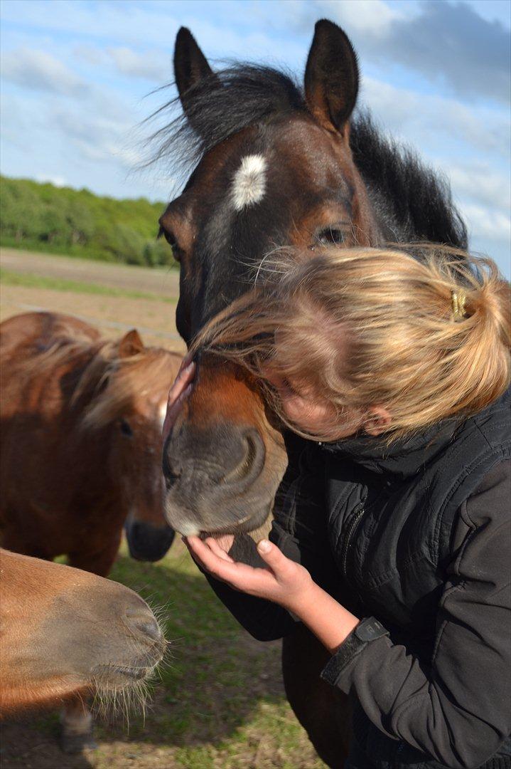 Anden særlig race • Lucas • Min Romkugle • Foldbums • - Jeg elsker dig pony ;* billede 11