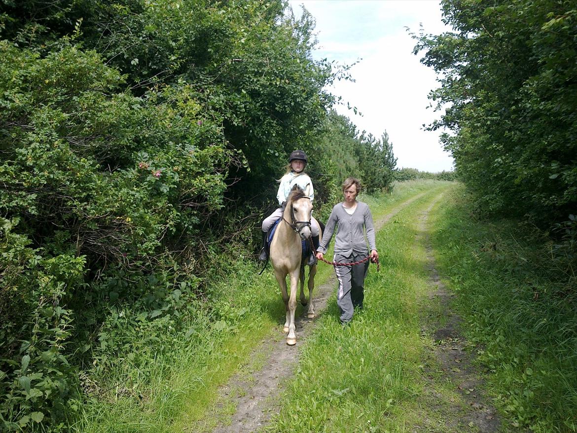 Anden særlig race Mister Surprice ( Solgt) - Emma og Mister på tur billede 18