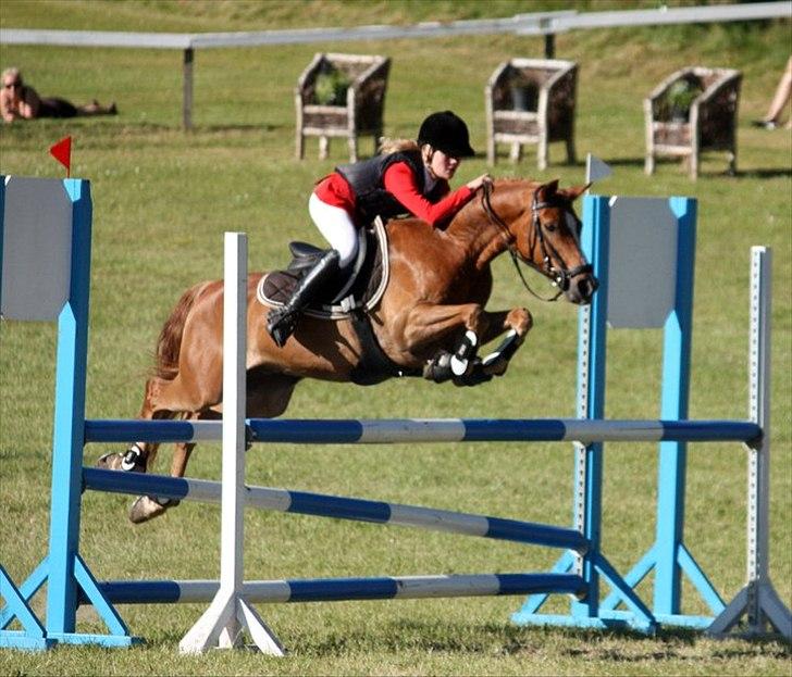 Anden særlig race Buster - MB morsø 2011 billede 3