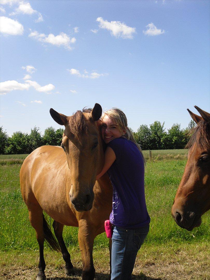 Quarter Scarlet O'Bueno - Jeg elsker den hest! <3 billede 9