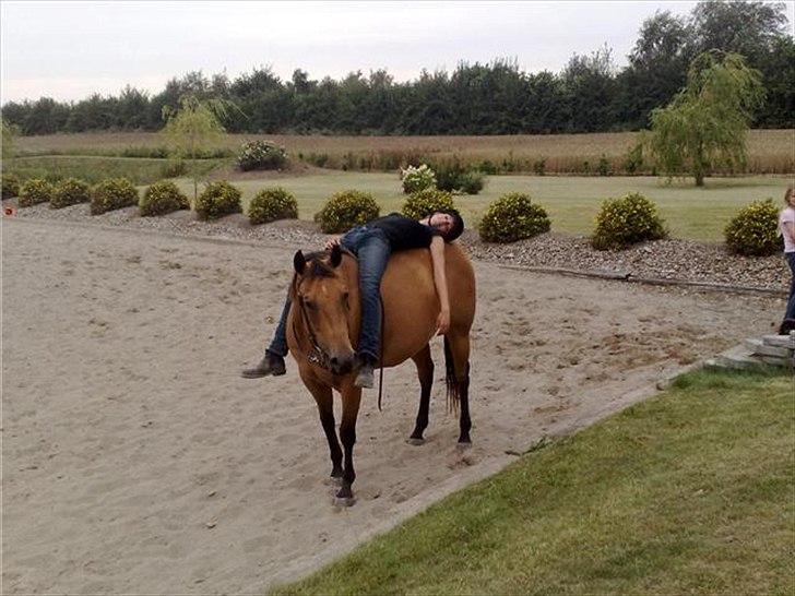Quarter Scarlet O'Bueno - Hygge med min prinsesse :-* billede 11