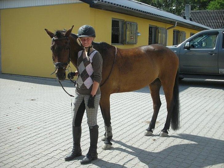 Anden særlig race Felix - Efter Springstævne (Ridelejr) 2011

*Foto: Min mor* billede 11