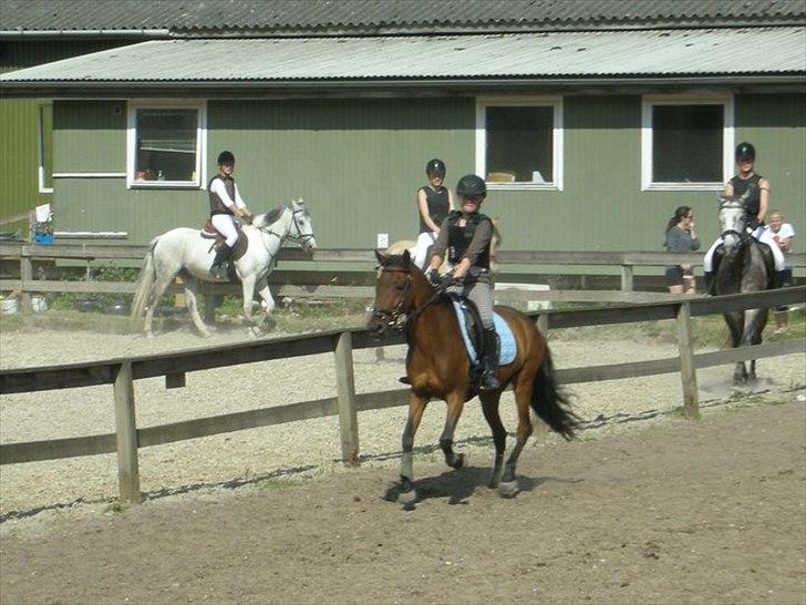 Anden særlig race Felix - Springer stævne :-)

*Foto: Min mor* billede 13