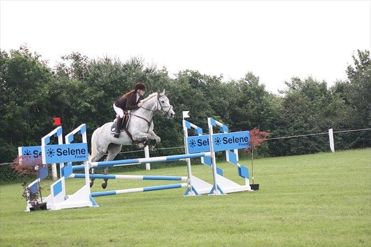 Anden særlig race Sevenhills Tyrone Tigers - Stævne i Kongeå d.8 juli - Lb** - 1 plads billede 18