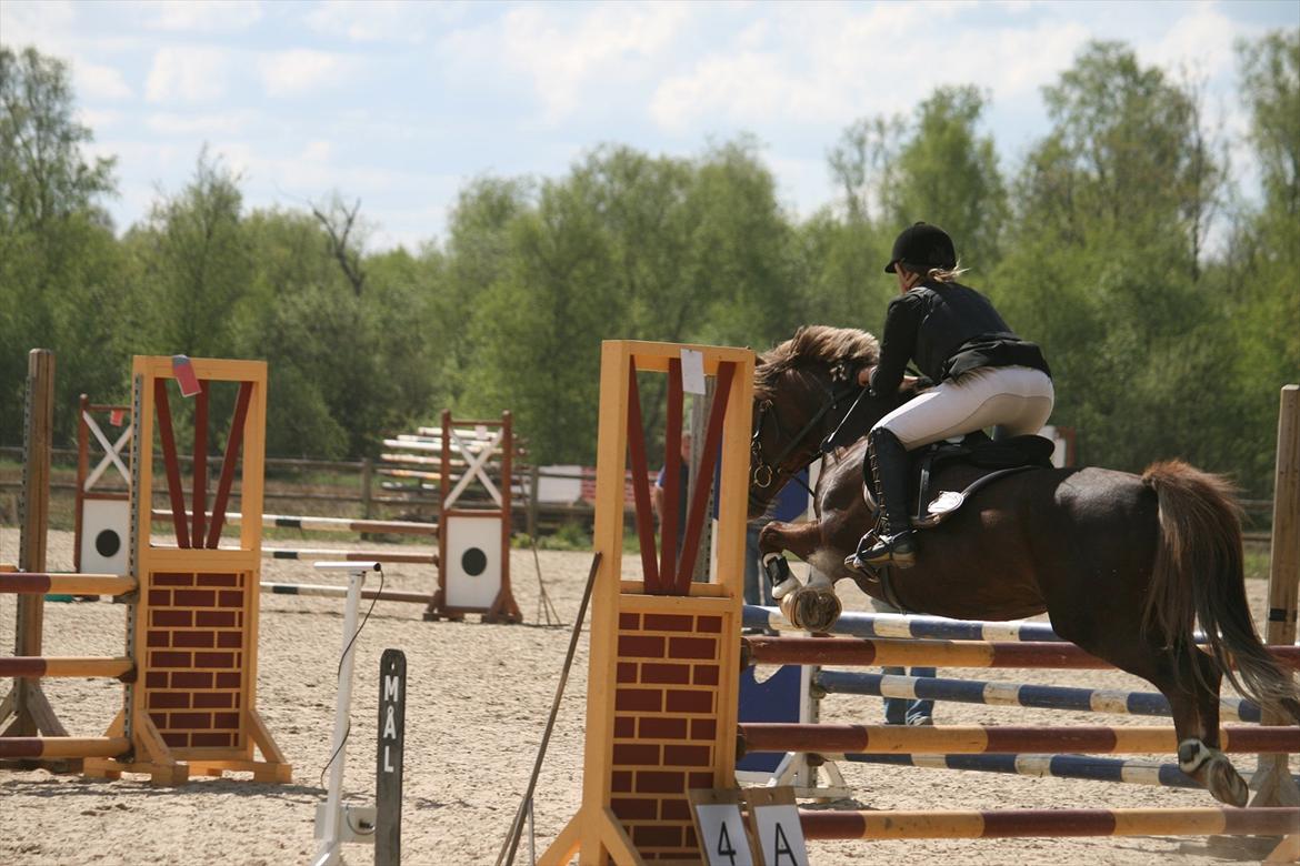 Anden særlig race Donjuan Solgt:/ - 6. stævne i herning i en la**<3 billede 6