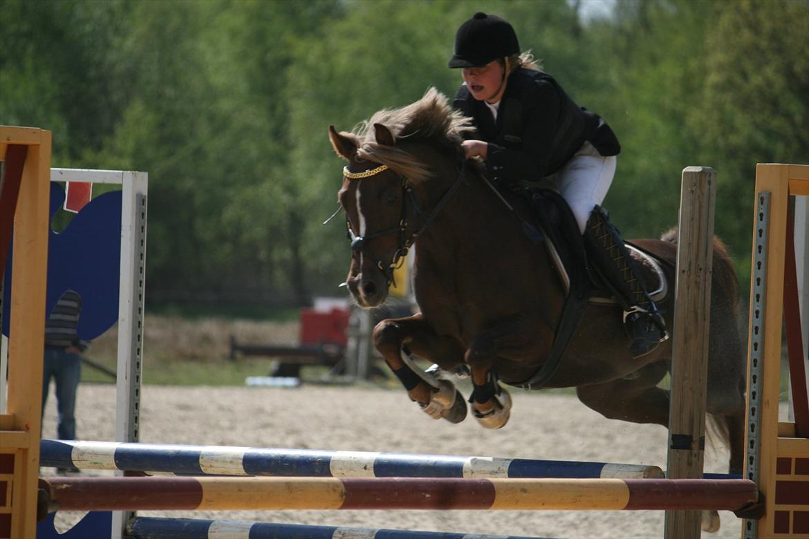 Anden særlig race Donjuan Solgt:/ - 7. Stævne i herning la**<3 billede 7