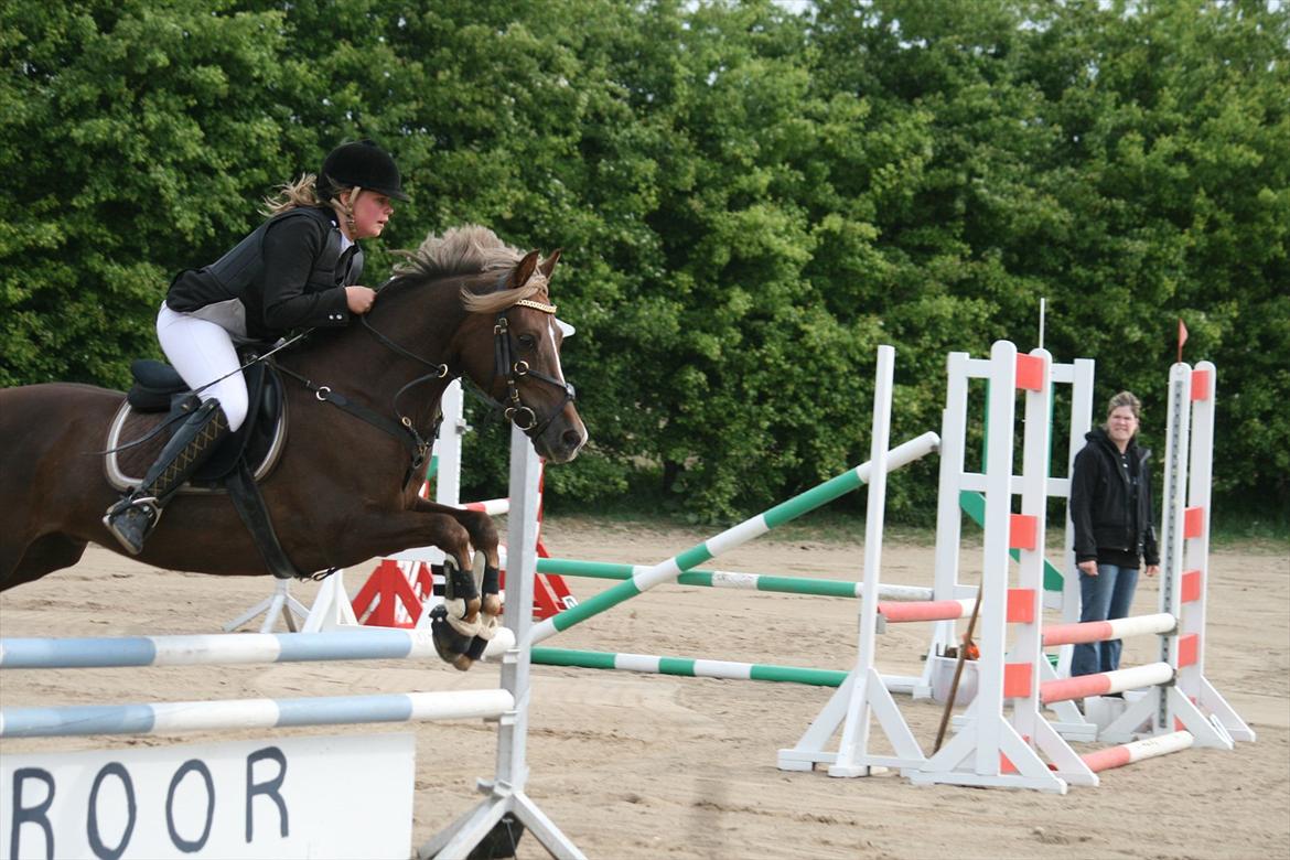 Anden særlig race Donjuan Solgt:/ - 8. Stævne revsø Lb*<3 billede 8