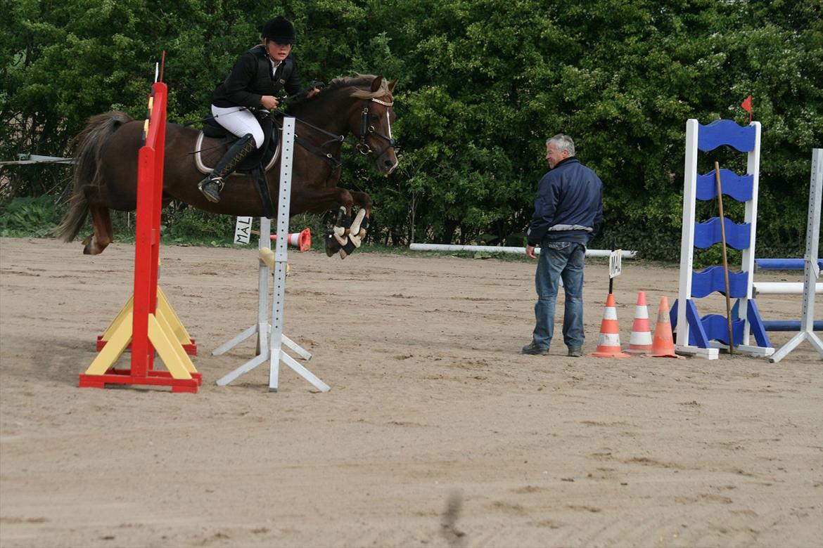 Anden særlig race Donjuan Solgt:/ - 9. Stævne i revsø lb** billede 9