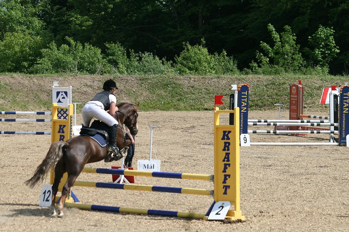 Anden særlig race Donjuan Solgt:/ - 10. Stævne åbenraa i en lb** men faldt desværre af på sidste spring!<3 billede 10