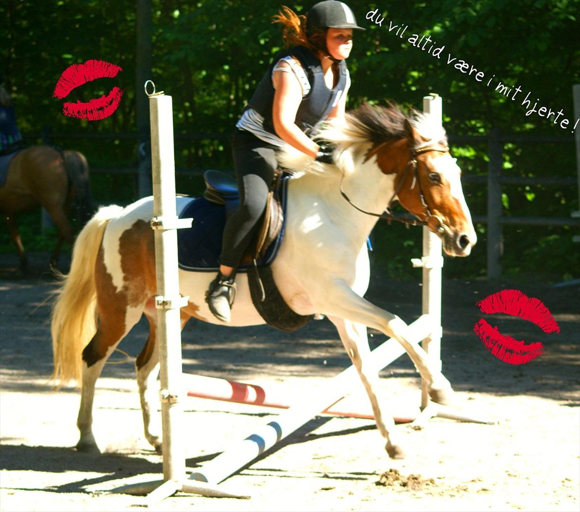 Anden særlig race Angel [tidl. part] billede 13