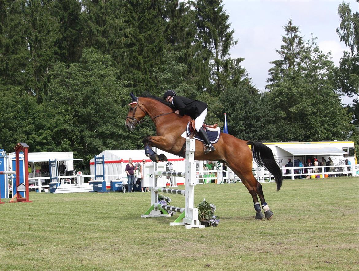 Holstener C-Hightower Højgård - Jysk Rideuge Silkeborg 2011 billede 5