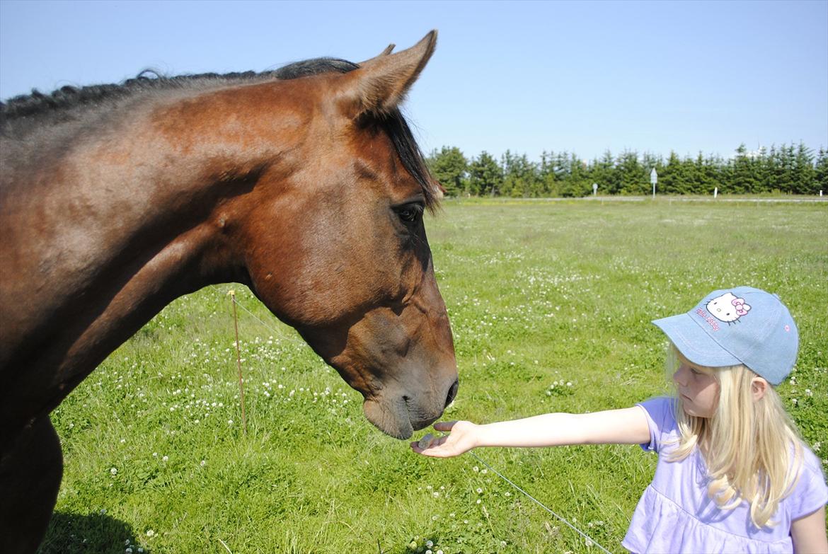 Anden særlig race Lundgaards Bacardi  - Taget af Dorte Jensen/Grønvang billede 19